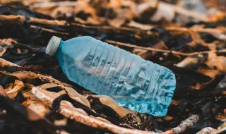 El Puerto de Castelló y UJI investigarán la biodegradación de materiales plásticos en entornos marinos
