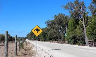 Quinze distritos do continente e Madeira sob aviso amarelo devido ao calor