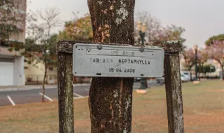 Município de Tábua inaugura novo parque de biomassa