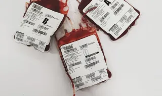 Anemia hemolítica: entenda a grave doença do rei da Noruega