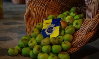 Festa da Maçã regressa à Camacha com Luís Trigacheiro como cabeça de cartaz
