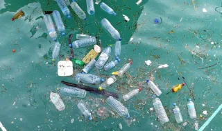 Estudo detecta nos Açores lixo marinho com décadas dos EUA e do Canadá
