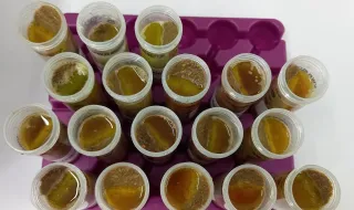 Laboratório da ACOS reconhecido para análises de produtos com certificação
