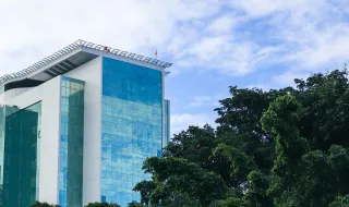 Produtores de leite da ilha Terceira lamentam nova descida no "preço mais baixo da Europa"