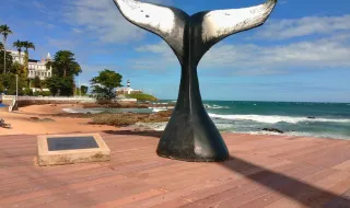 Baleia dá 'show' na Praia do Leblon, na Zona Sul do Rio, e arranca aplausos dos banhistas