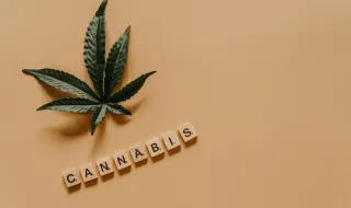 Ansiedade e cannabis medicinal: o que a ciência diz