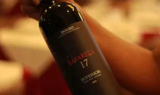 Vinho. Açores preveem ano normal de produção e qualidade