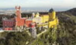 Abate de pinheiros infetados por fungo vai provocar condicionamentos de trânsito em Sintra