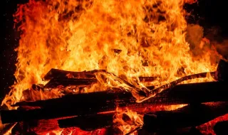 Temperaturas Extremas: O Impacto do Calor e da Seca nas Florestas da Europa e América do Norte