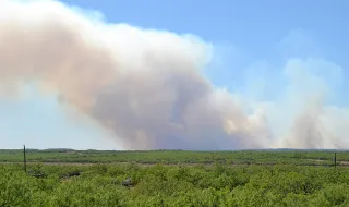 Despacho de 1º Alerta — Faro, Alcoutim, Alcoutim E Pereiro