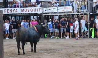 Tres heridos en una accidentada tarde de toros en las fiestas de Burriana