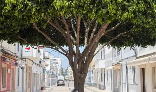 Vila Real de Santo António assina adenda ao programa de ajustamento municipal