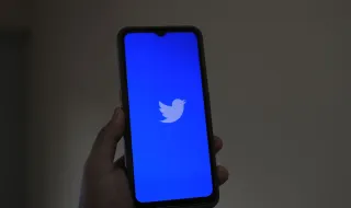 Twitter está de volta? Ex-funcionário luta para ressuscitar o pássaro azul