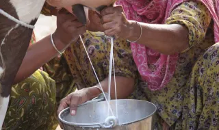 Crítica: Hot Milk ganha o público com Hannah Mee insistente