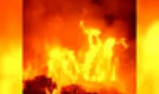 Incêndio ameaça zona turística no sul da Albânia