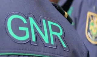 Praga de percevejos obriga GNR a interromper curso de formação