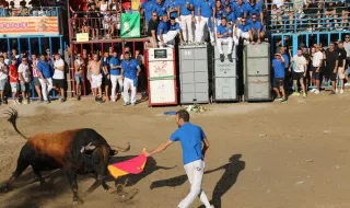 Burriana viste de historia los 50 años de la Comisión del Bou: una escultura y el imponente toro ‘Tutor’, de Garcigrande