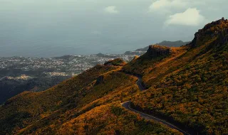 Associação Ornitológica da Madeira distinguiu-se em prova internacional