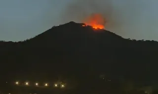 Un incendio afecta al Monte de la Tortuga de Ceuta