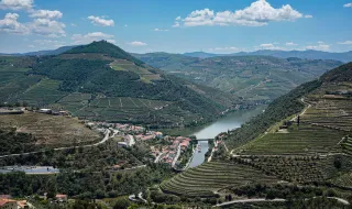 Afinal, o que é o ‘benefício’ do Douro Vinhateiro e porque gera controvérsia no setor