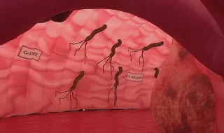 Exposição gratuita convida a explorar o tubo digestivo num insuflável de 18 metros