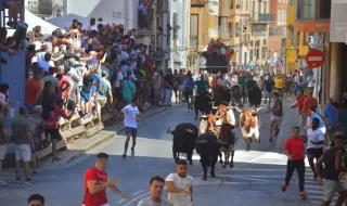 L'Alcora disfruta de un multitudinario y vistoso encierro de Domínguez Camacho
