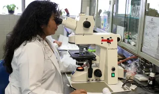 Possível "surto" de verão de mpox. DGS avisou que havia uma "tendência crescente" de casos