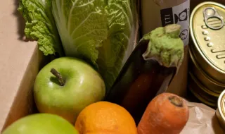 Preço do cabaz alimentar volta a subir e ultrapassa os 254 euros