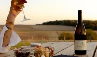 Entre vindimas, gastronomia e Cante, Vidigueira estreia festival dedicado ao vinho e à cultura alentejana