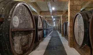 Museu do Vinho da Bairrada com visita gratuita para residentes no último domingo do mês