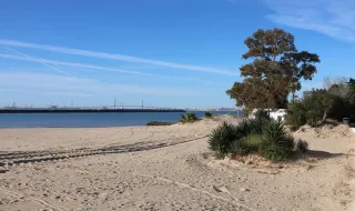 Areias retiradas da marina do Porto Santo depositadas em zona de Bandeira Azul