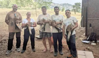 La Sierra de Cazorla recupera el milano real: ya se han reintroducido 230 en los últimos cinco años