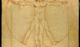 O Homem Vitruviano e a figura feminina no Mundo