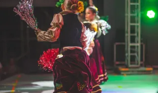 SOBE AO PALCO PARA DANÇAR E ACABA A BEIJAR O CANTOR: MOMENTO TORNA-SE VIRAL