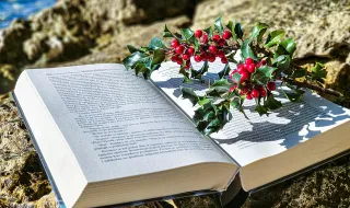 Festa do Livro em Belém regressa com tributo a Lobo Antunes e concerto dos GNR