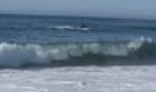 Homem desaparece na praia da Costa Nova em Ílhavo