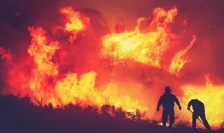 Incêndio em Proença-a-Nova "lavra com grande intensidade" e mobiliza mais de 400 operacionais