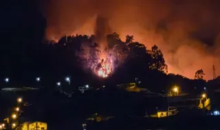 Fogo suspeito consumiu 11 hectares