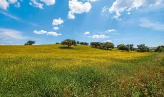 Alentejo tem 147 milhões de euros para investir até ao final do ano