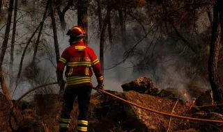 Incêndio em zona de mato corta IC1 no concelho de Santiago do Cacém