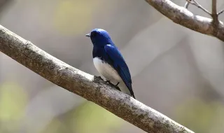 MiGRA transforma enxaqueca numa “prisão” em campanha de sensibilização