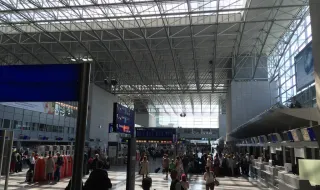 “Malária de aeroporto”: duas mortes em Frankfurt causadas por mosquito que chegou de avião