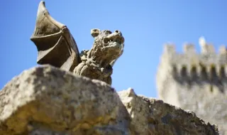 Dragão visita Fontelo à procura da quarta vitória