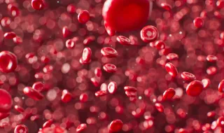 Aumento do dióxido de carbono na atmosfera está também a ser detetado no sangue dos humanos