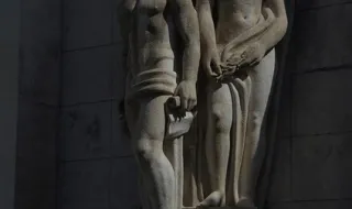 Como uma descoberta na Universidade de Coimbra pode reescrever a anatomia