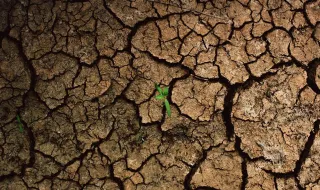 ONU traça novo cenário mínimo de 1,8°C de aquecimento global