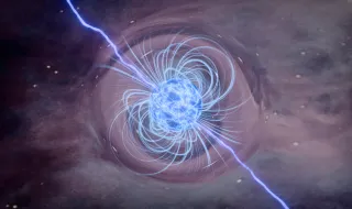 Cientistas descobrem o que torna o canto das aves bonito