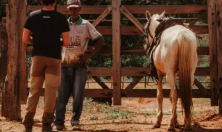 'Agro é eficiente da porteira pra dentro, mas paga o preço da porteira pra fora', diz Zema