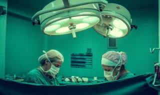Vive 271 dias com um rim de porco: transplante bate recorde e abre caminho para alternativa à diálise