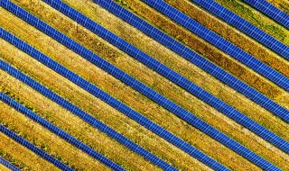 Lightsource BP abandona Central Solar da Beira. Ambientalistas falam em meia vitória